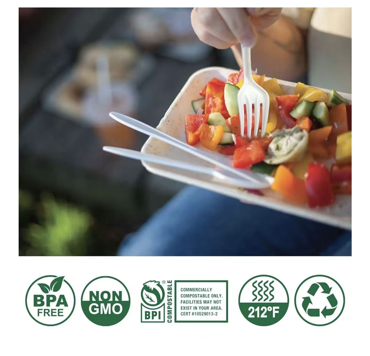 wholesale compostable spoons – 10 boxes / 2,000 count – heavy duty – free shipping
